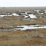 Casa de Férias Deichblick_spo *